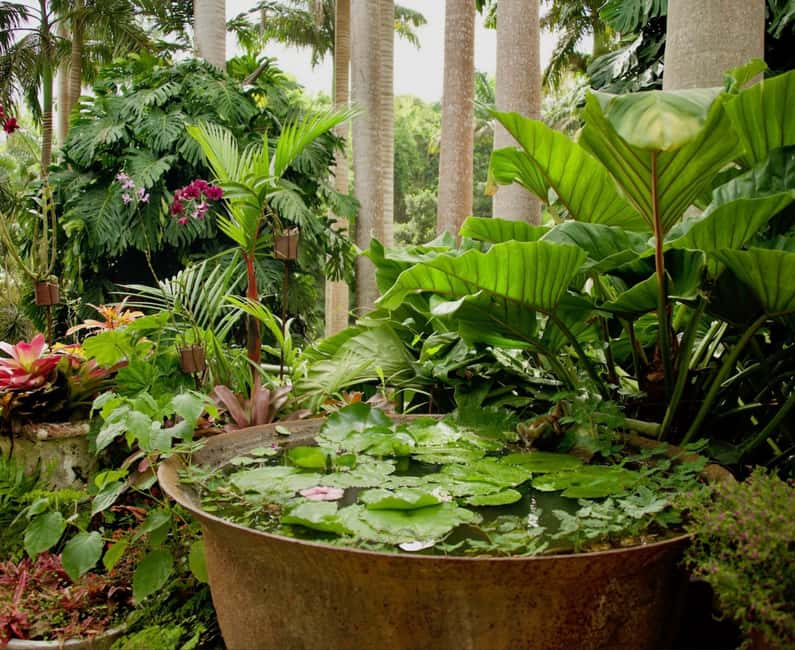 Barbados: Tour of Harrison's Cave & Hunte's Gardens - Key Points to Know Before You Book