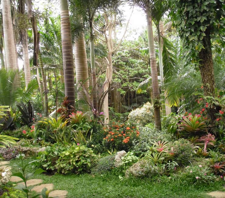 Barbados: Tour of Harrison's Cave & Hunte's Gardens - Why This Half-Day Barbados Tour Works