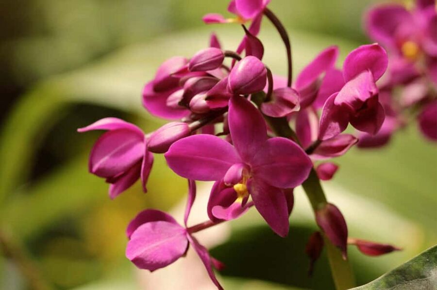 Barbados: Tour of Harrison's Cave & Hunte's Gardens - Who Will Enjoy This Experience Most?
