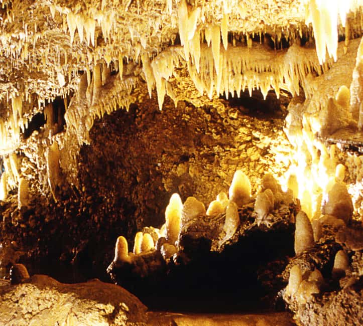 Barbados: Tour of Harrison's Cave & Hunte's Gardens - Booking Details and Cancellation