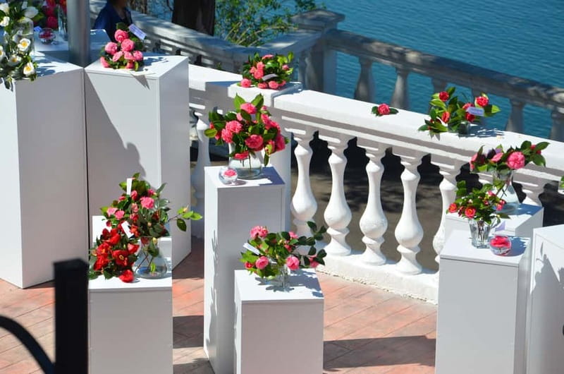 Batumi: Botanical Garden, Petra Fortress and Miniatures Park - Key points to know before booking