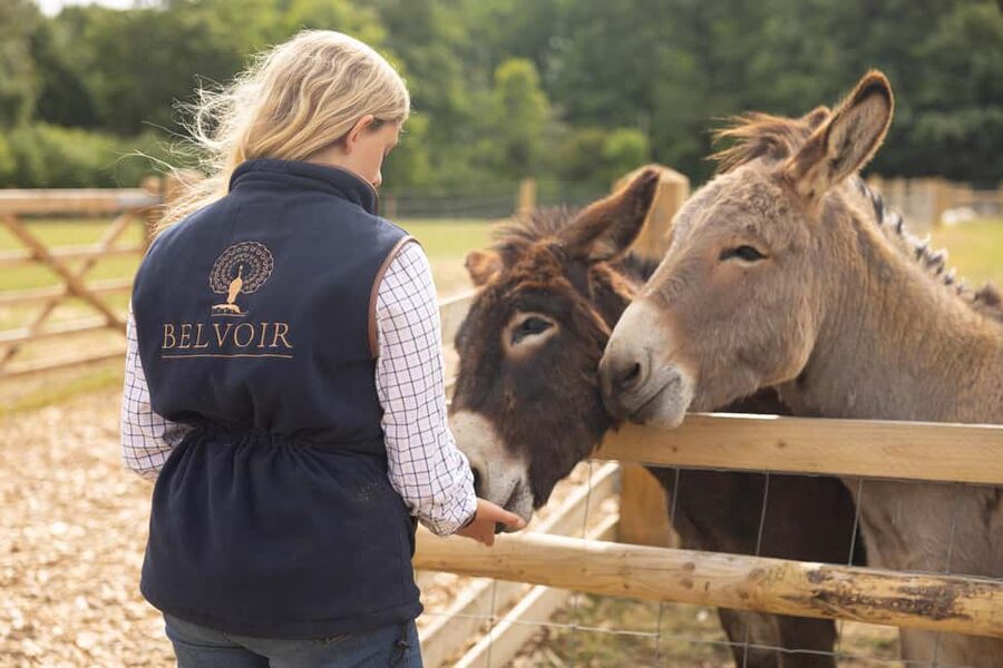 Belvoir Castle: Castle, Gardens and Ground Entry - Belvoir Retail Village in a restored Victorian complex