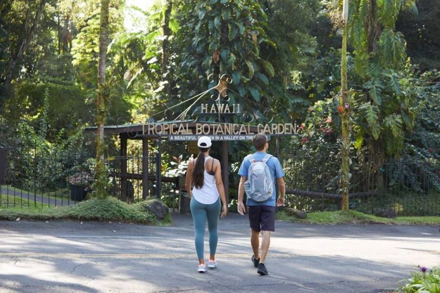 Big Island: Waterfall Tour with Swimming & Botanical Garden - Why this 10-hour Big Island tour works