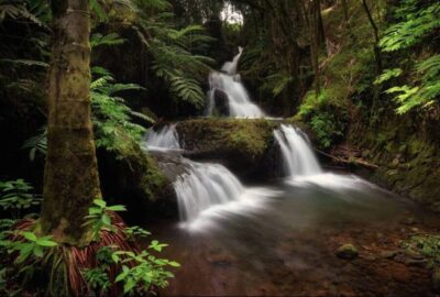 Big Island: Waterfall Tour with Swimming & Botanical Garden