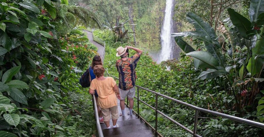 Big Island: Waterfall Tour with Swimming & Botanical Garden - Swimming beneath Kulaniapia Falls