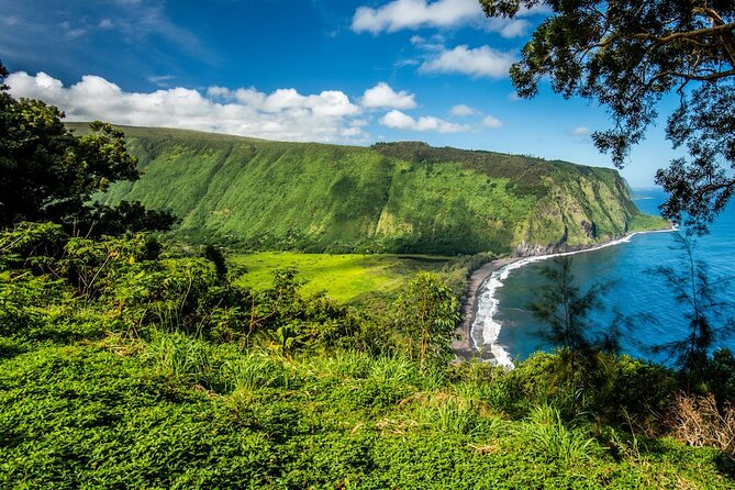 Big Island Waterfalls Tour with Swimming and Botanical Garden - Hawaii Tropical Botanical Garden takes you into the rainforest
