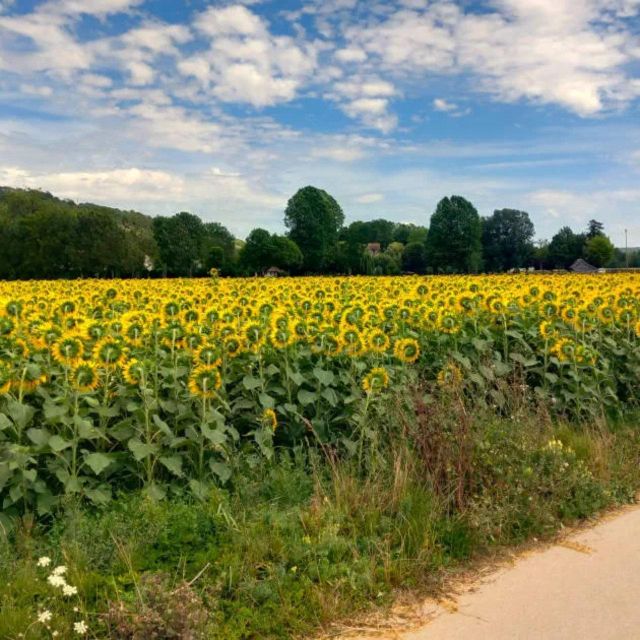 Bike tour from Vernon to Giverny with local guide - Who will get the most from this outing
