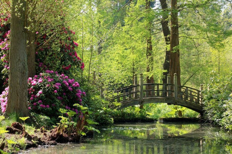 Birmingham: Winterbourne House and Garden Admission Ticket - Take your time through seven acres of planting