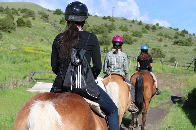 Blue Flower Trail Ride - Riding beneath the Absaroka Mountains