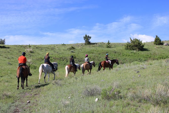 Blue Flower Trail Ride - The two-hour route and its limits