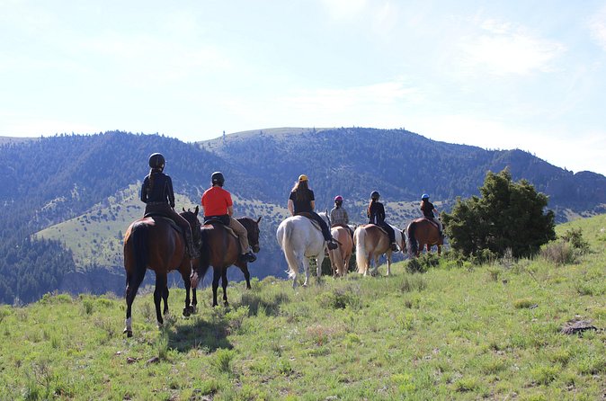 Blue Flower Trail Ride - The drive is part of the planning
