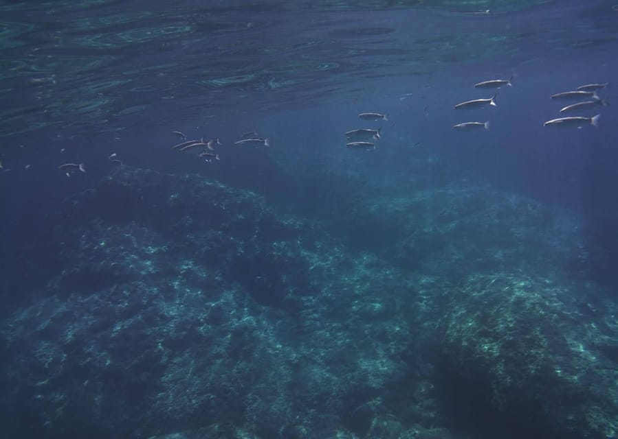 Boat excursion Giardini Naxos Taormina with swimming break - Key points to know before booking