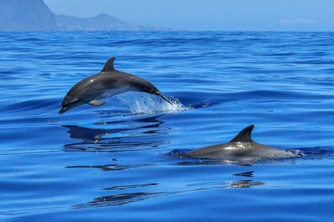 Boat tour Giardini Naxos Taormina Isola Bella Blue Grotto - How the $48.37 price measures up