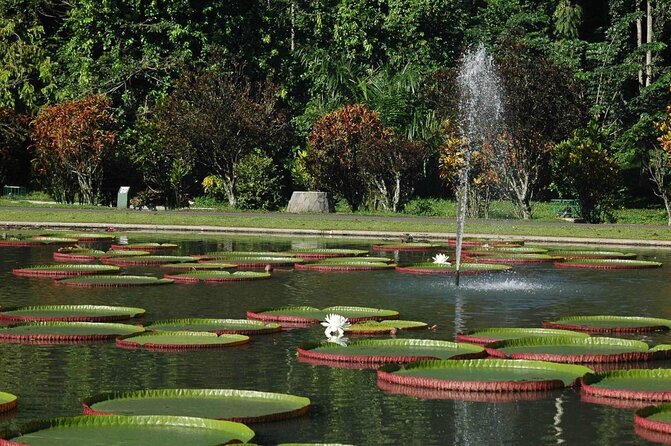 Bogor Botanical Garden & Rainforest Trekking to Hidden Waterfall - Why This Bogor Day Trip Works So Well