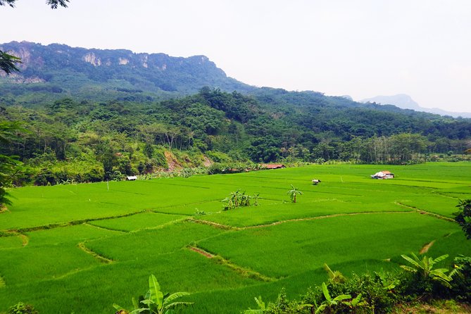Bogor Botanical Garden & Rainforest Trekking to Hidden Waterfall - Leaving Jakarta for Bogor’s Working Countryside