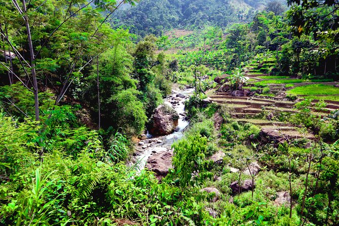 Bogor Botanical Garden & Rainforest Trekking to Hidden Waterfall - Lunch, Water, and the Value of the $95 Price