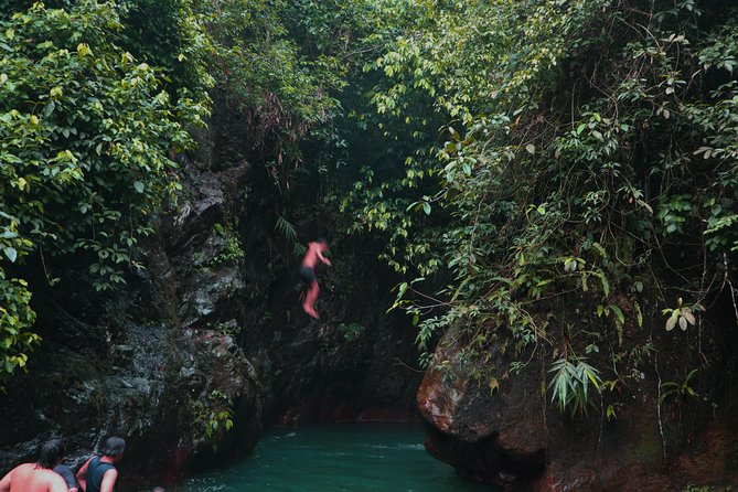 Bogor Botanical Garden & Rainforest Trekking to Hidden Waterfall - Who Should Book This Experience