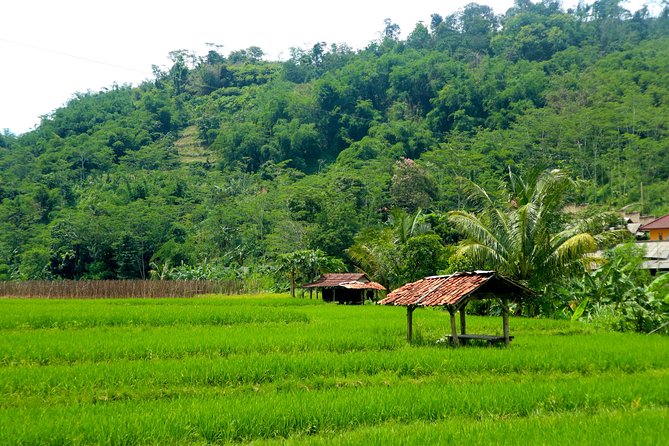 Bogor Botanical Garden & Rainforest Trekking to Hidden Waterfall - Should You Book the Bogor Garden and Waterfall Tour?