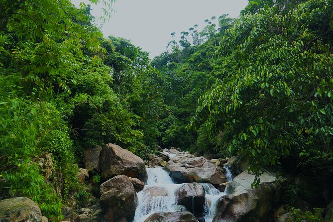 Bogor Botanical Garden & Rainforest Trekking to Hidden Waterfall - The Two-Hour Rainforest Walk to Cikaracak