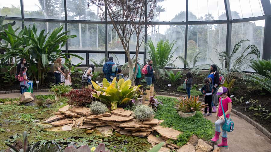 Bogotá: Jose Celestino Botanical Garden and Gudalupe Hill - Key points at a glance