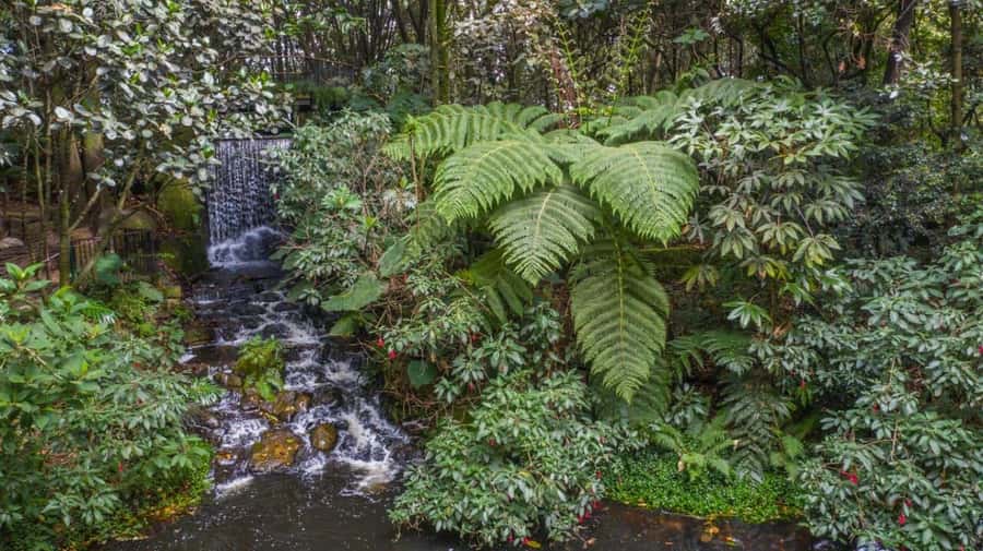 Bogotá: Jose Celestino Botanical Garden and Gudalupe Hill - What the service appears to be like