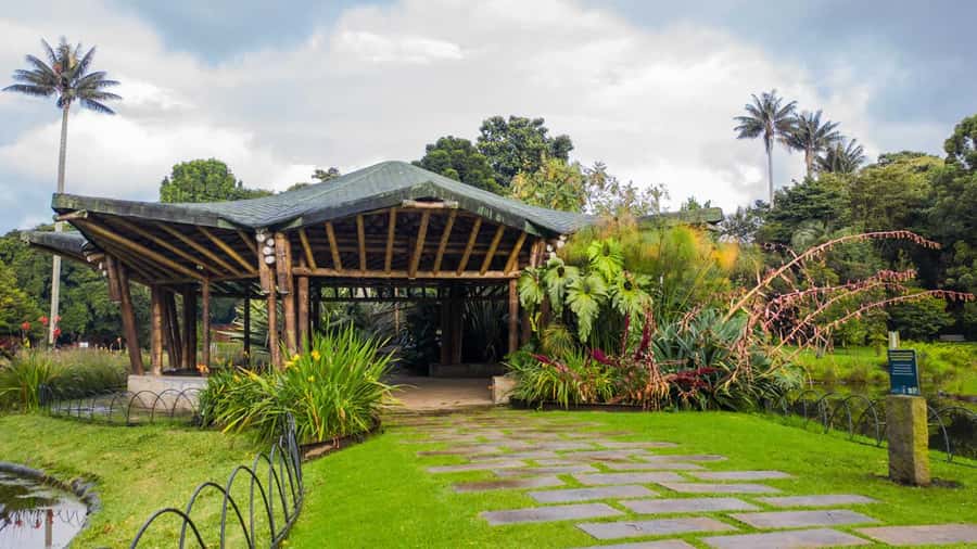 Bogotá: Jose Celestino Botanical Garden and Gudalupe Hill - Walking the garden’s paths