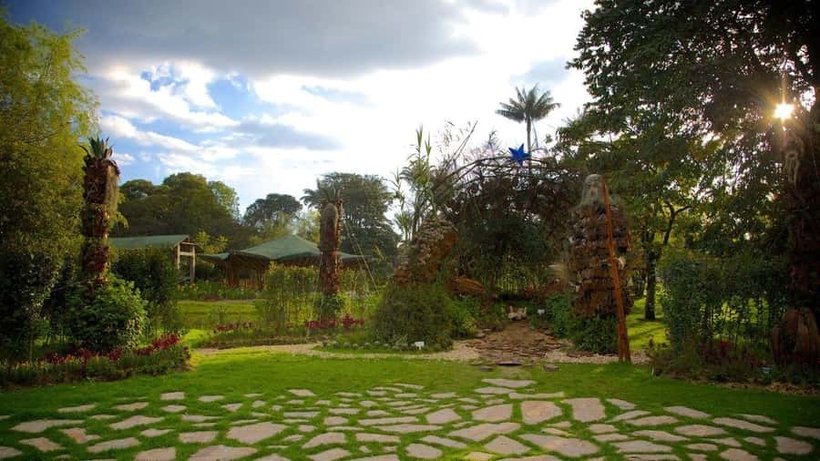 BOGOTA: Visit to the Botanical Garden and Ugly Betty's House - The Botanical Garden’s Colombian plant world