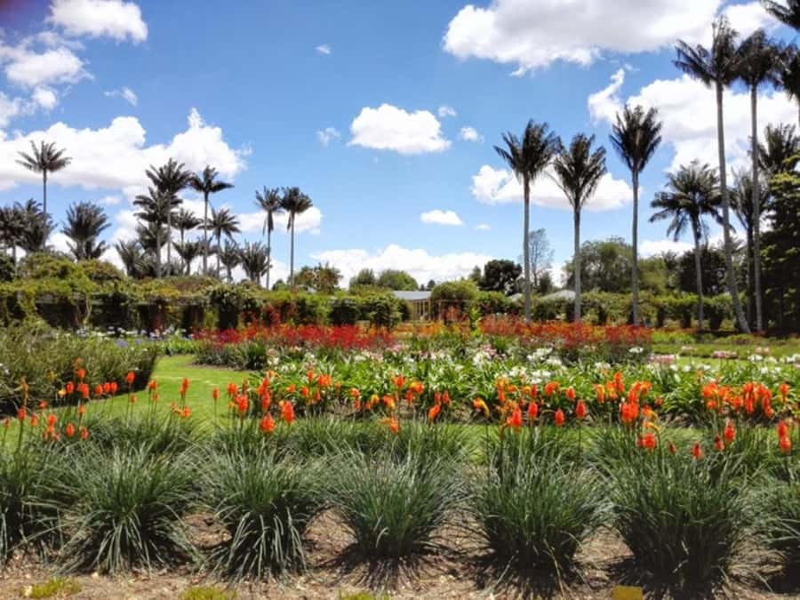 BOGOTA: Visit to the Botanical Garden and Ugly Betty's House - What the four-hour schedule feels like