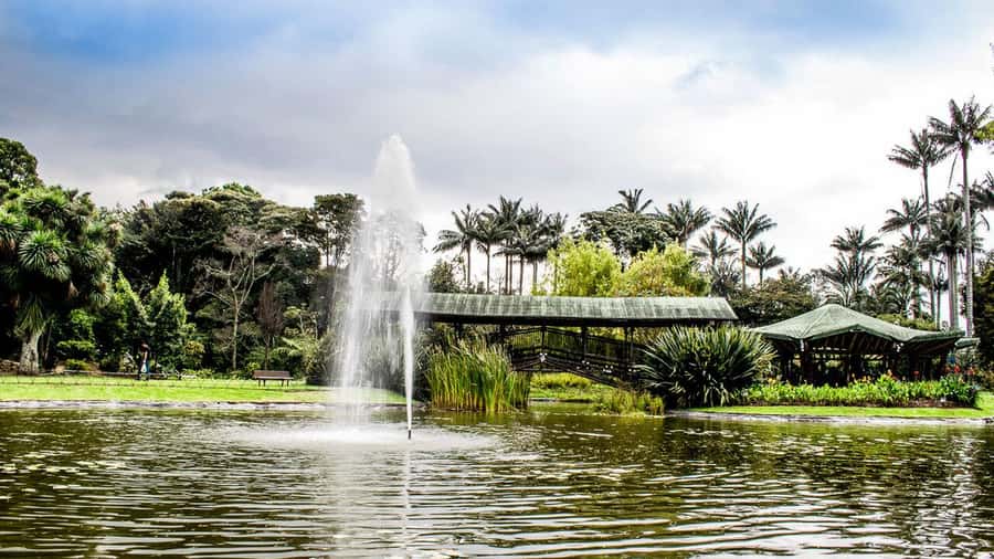 BOGOTA: Visit to the Botanical Garden and Ugly Betty's House - Is $50 per person a fair price?