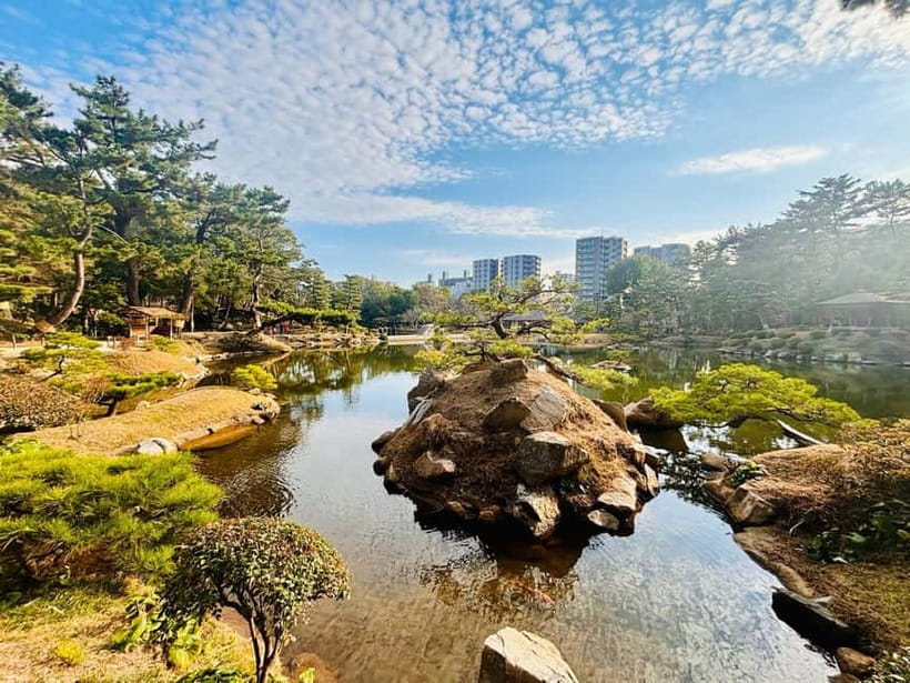 Bomb to bloom Highlights of Hiroshima walking group tour - Who should choose this experience