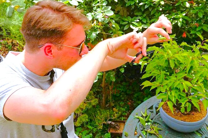 Bonsai Tour & Experience at the Most Sacred City for Bonsai in JP - Key points at a glance