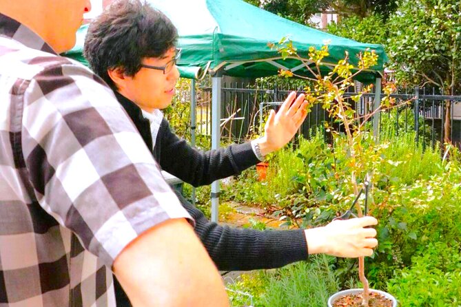 Bonsai Tour & Experience at the Most Sacred City for Bonsai in JP - The value of $55.52