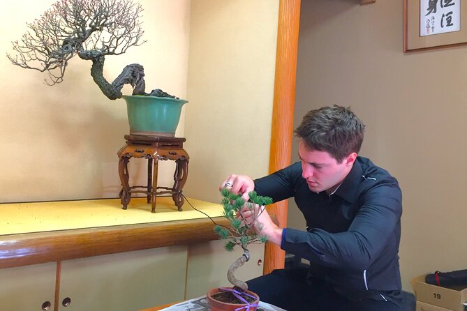 Bonsai Tour & Experience at the Most Sacred City for Bonsai in JP - Walking through established bonsai gardens