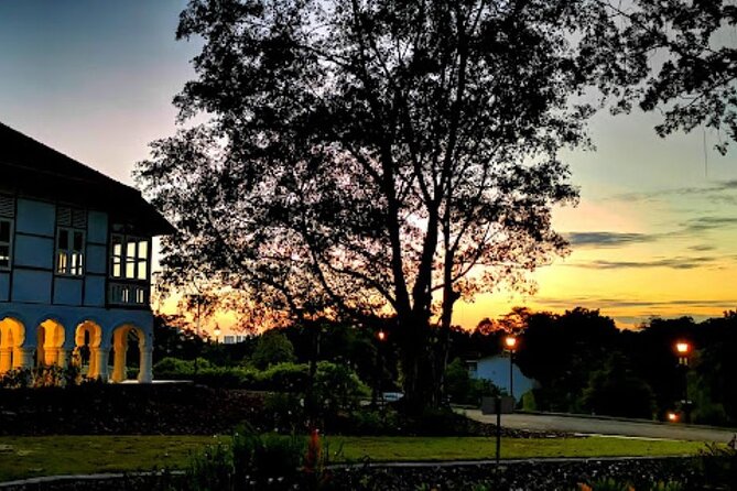 Botanic Gardens & Tiong Bahru Walking Tour with Breakfast - Why this early morning route works