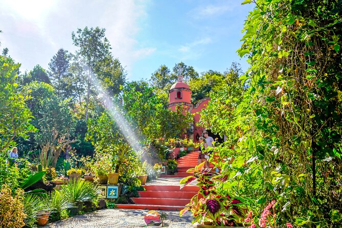 Botanical Garden: Private Day Trip of Flora & Fauna in Vallarta. - Key Points to Know Before You Go