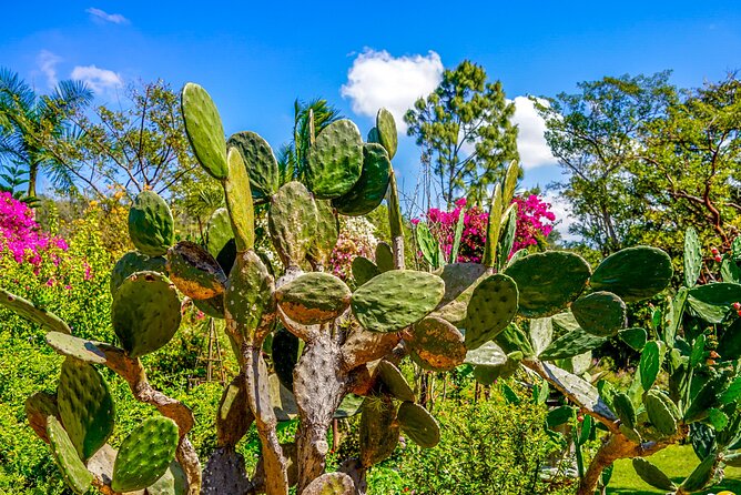 Botanical Garden: Private Day Trip of Flora & Fauna in Vallarta. - The River Swim and Hacienda de Oro Lunch