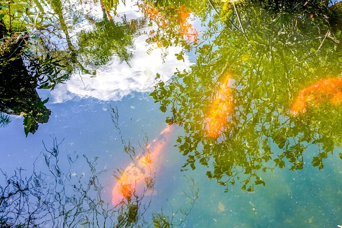Botanical Garden: Private Day Trip of Flora & Fauna in Vallarta. - What $107.99 Really Covers