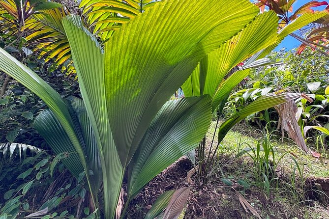 Botanical Tour and waterfall swim at The Cloudforest Bioreserve - Is $89 per person a fair price?