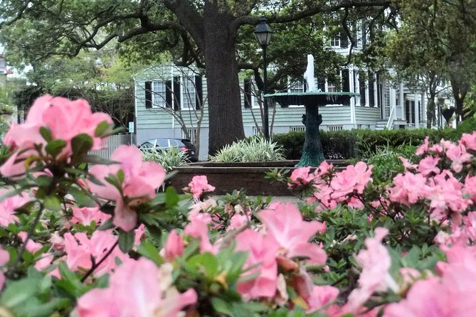 Botanical Tour (by Walk With Me Savannah Tours) - Lafayette Square’s fountain, ferns, and cathedral view