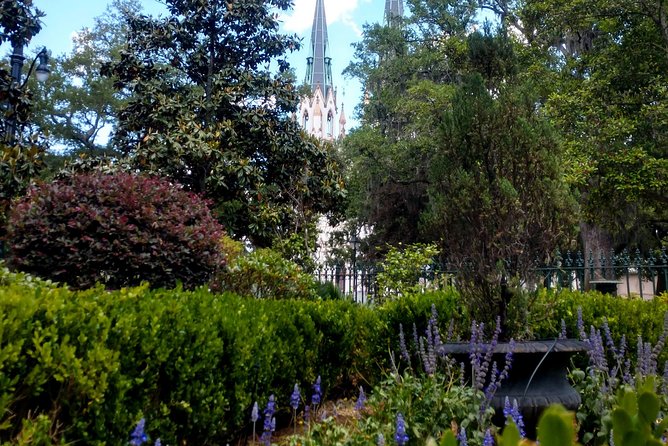 Botanical Tour (by Walk With Me Savannah Tours) - Madison Square and the plants people often overlook