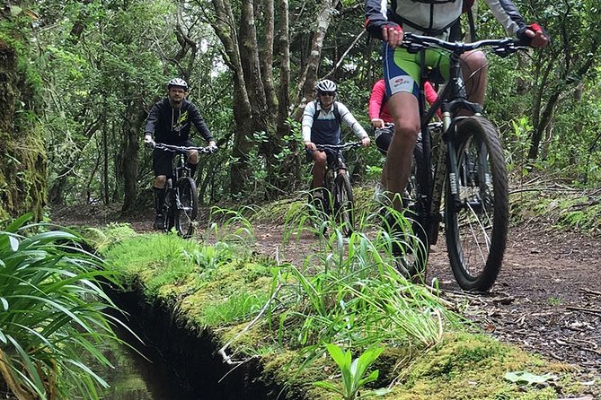 Botanical Trails of Madeira. Mountain biking Trail Experience - What this Madeira mountain bike tour is really like