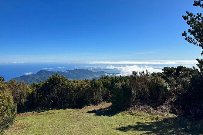 Botanical Trails of Madeira. Mountain biking Trail Experience - Camacha: A practical break in a real village setting