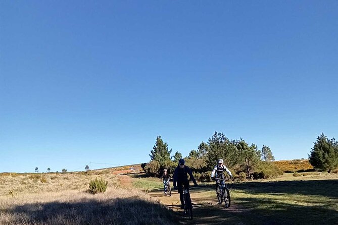 Botanical Trails of Madeira. Mountain biking Trail Experience - The final 10 kilometres: Easy pedaling with ocean views