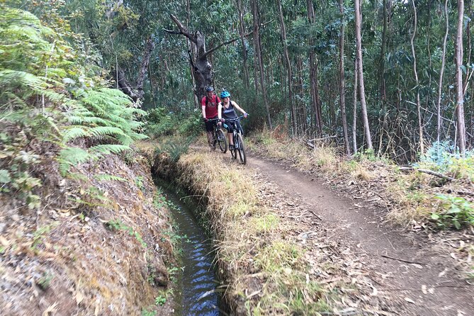 Botanical Trails of Madeira. Mountain biking Trail Experience - Who should book this ride