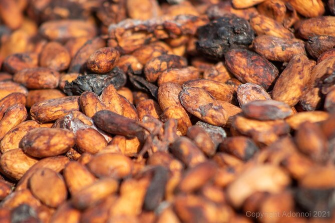 Boti Falls, Umbrella Rock, Aburi Gardens & Cocoa Farm Day Tour - Key points before you book