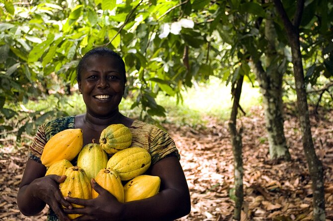 Boti Falls, Umbrella Rock, Aburi Gardens & Cocoa Farm Day Tour - Climbing Umbrella Rock in the forest