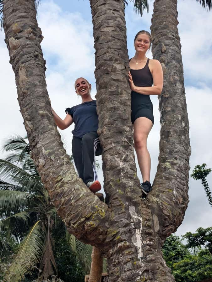 Boti Falls, Umbrella Rock, Aburi Gardens & Cocoa Farm Tour - Key points to know before you book