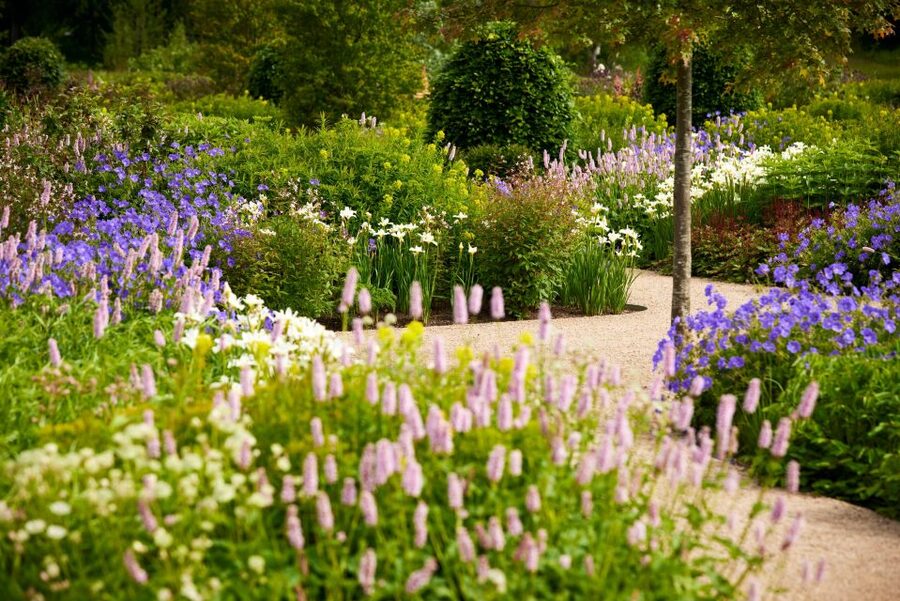 Bridgewater: Royal Horticultural Society Garden Ticket - The Paradise Garden brings two planting traditions together