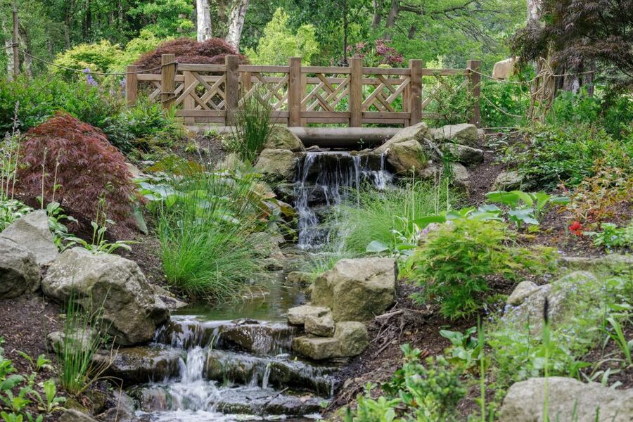 Bridgewater: Royal Horticultural Society Garden Ticket - Slow down beside the Chinese Streamside Gardens