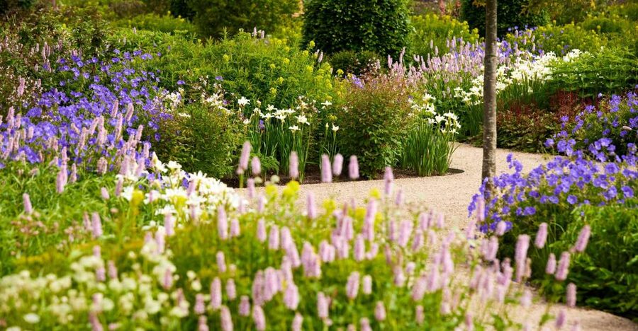 Bridgewater: Royal Horticultural Society Garden Ticket - Begin with the Worsley Welcome Garden